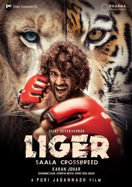 Liger Meaning In Hindi Telugu English Tamil Kannada And Other Movie Details