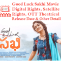 Good Luck Sakhi Digital Rights Satellite Rights OTT Theatrical Release Date And Other Details