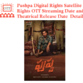 Pushpa Digital Rights Satellite Rights OTT Streaming Theatrical Release Date Details