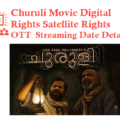 Churuli Movie Digital Rights Satellite Rights OTT DateDetails