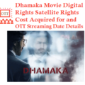 Dhamaka Movie Digital Rights Satellite Rights OTT Streaming Date Details