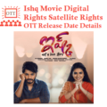 Ishq Movie Digital Rights Satellite Rights OTT Release Date Details