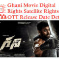 Ghani Movie Digital Rights Satellite Rights OTT Release Date Details