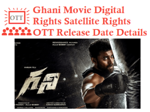 Ghani Movie Digital Rights Satellite Rights OTT Release Date Details