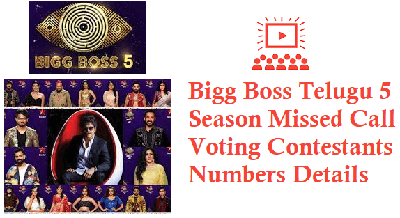 Boss 5 bigg voting