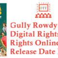 Gully Rowdy Movie Digital Rights Satellite Rights OTT Release Date Details