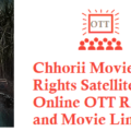 Chhorii Movie Digital Rights Satellite Rights OTT Release Date Details