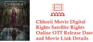 Chhorii Movie Digital Rights Satellite Rights OTT Release Date Details