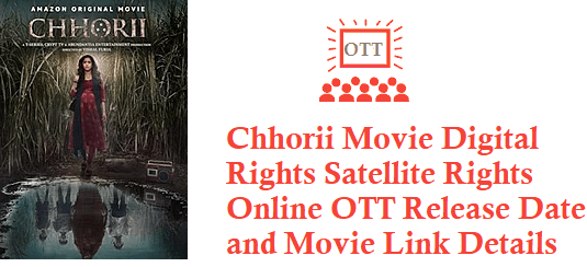 Chhorii Movie Digital Rights Satellite Rights OTT Release Date Details