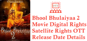 Bhool Bhulaiyaa 2 Movie Digital Rights Satellite Rights OTT Release Date Details