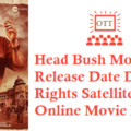 Head Bush Movie OTT Release Date Digital Rights Satellite Rights Details
