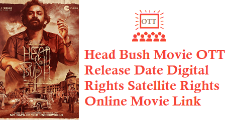 Head Bush Movie OTT Release Date Digital Rights Satellite Rights Details