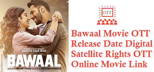 Bawaal Movie OTT Release Date Digital Rights Satellite Rights OTT Online Movie Link Details